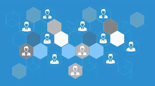 網(wǎng)絡(luò)營銷與專業(yè)網(wǎng)絡(luò)推廣 互聯(lián)網(wǎng)銷售的增效之道